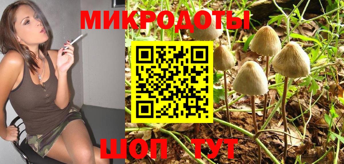 Галлюциногенные грибы MAGIC MUSHROOMS Боровичи