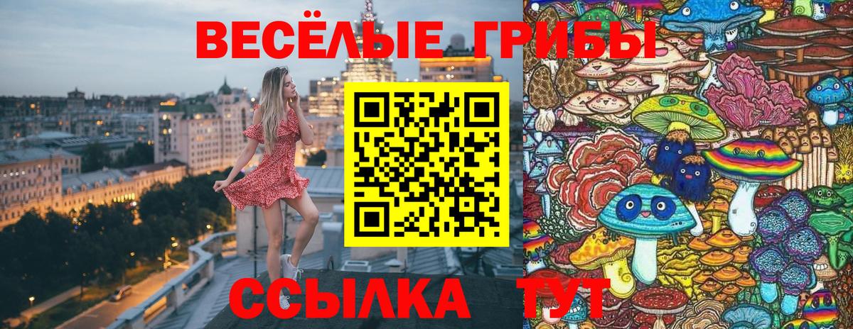 Псилоцибиновые грибы Psilocybine cubensis  Вход с VPN  Боровичи 