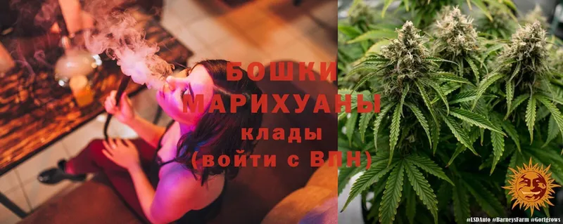 купить  цена  Боровичи  МАРИХУАНА OG Kush 